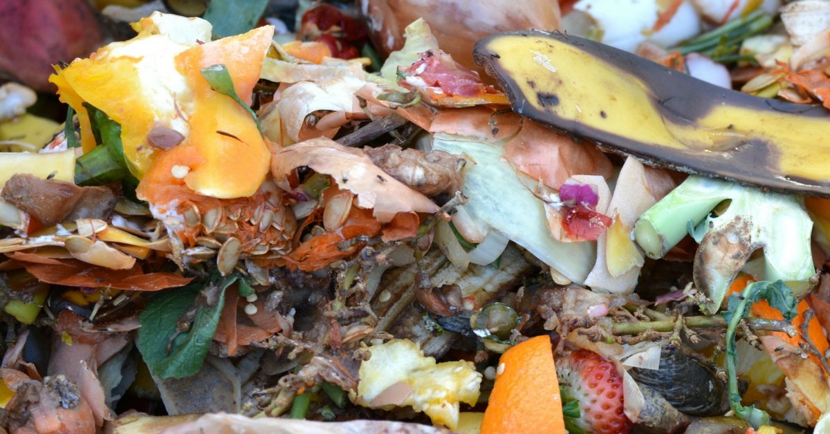 5 Ideas To Reduce Residential Food Waste - 1