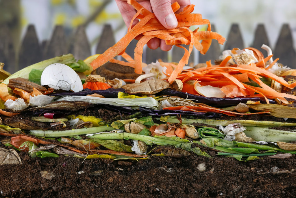 Male hand adding carrot peels into a colorful compost heap consisting of rotting kitchen leftovers