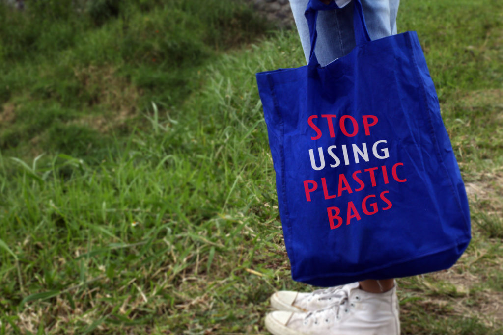 Young woman standing on grass holding a blue women foldable shopping bag reusable eco with text message - Just say no to plastic bags. 