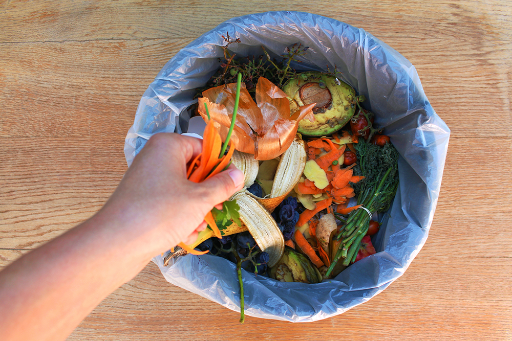 Food waste going to compost bin