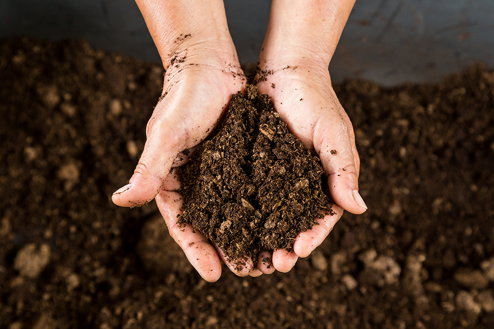 Organic compost to create organic soil for sustainable spring gardening and activities