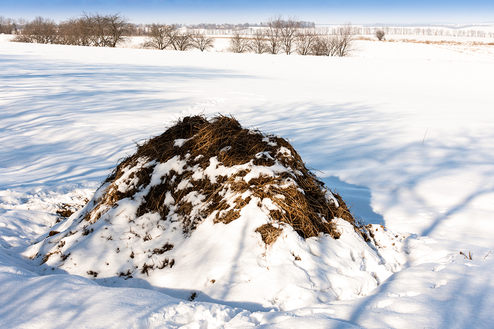 Cold composting in the winter for a sustainable spring