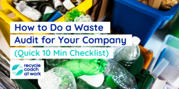 how to do a waste audit