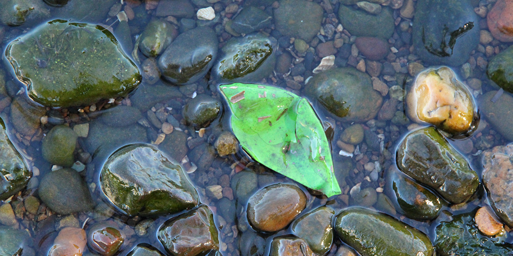 Balloon littering waterways and land, causing pollution